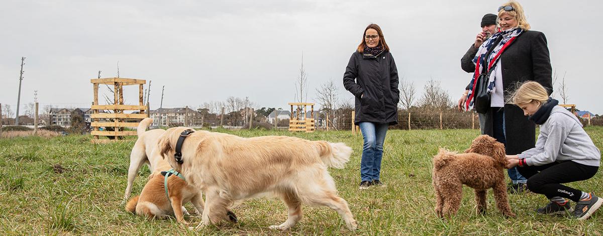 chiens caniparc