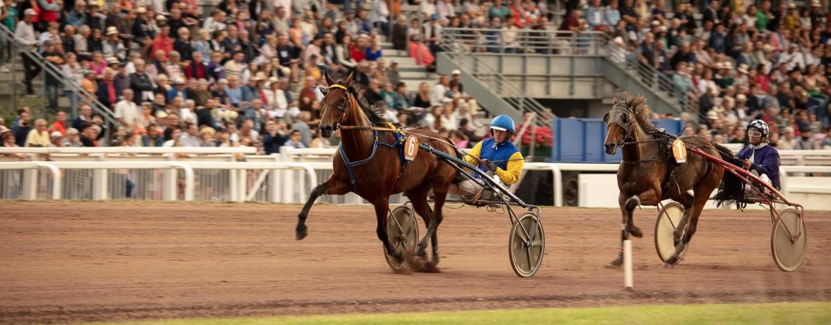 Trot à Pornichet