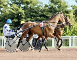 Courses au trot Pornichet