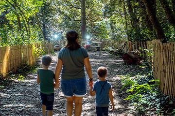 Balade fraicheur au Bois des Evens