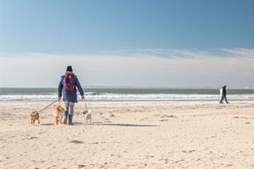 Chien, bateau, surveillance…, rappel de la réglementation sur nos plages, notamment à partir du 15 juin