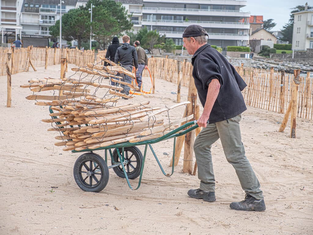 Pose des ganivelles sur la dune du port d'échouage